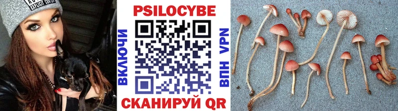 закладка  кракен ONION  Галлюциногенные грибы Psilocybine cubensis  Усть-Илимск 